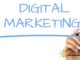 compañias marketing digital veterinario